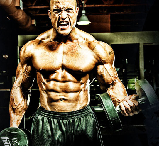 Steroid cycles for cutting